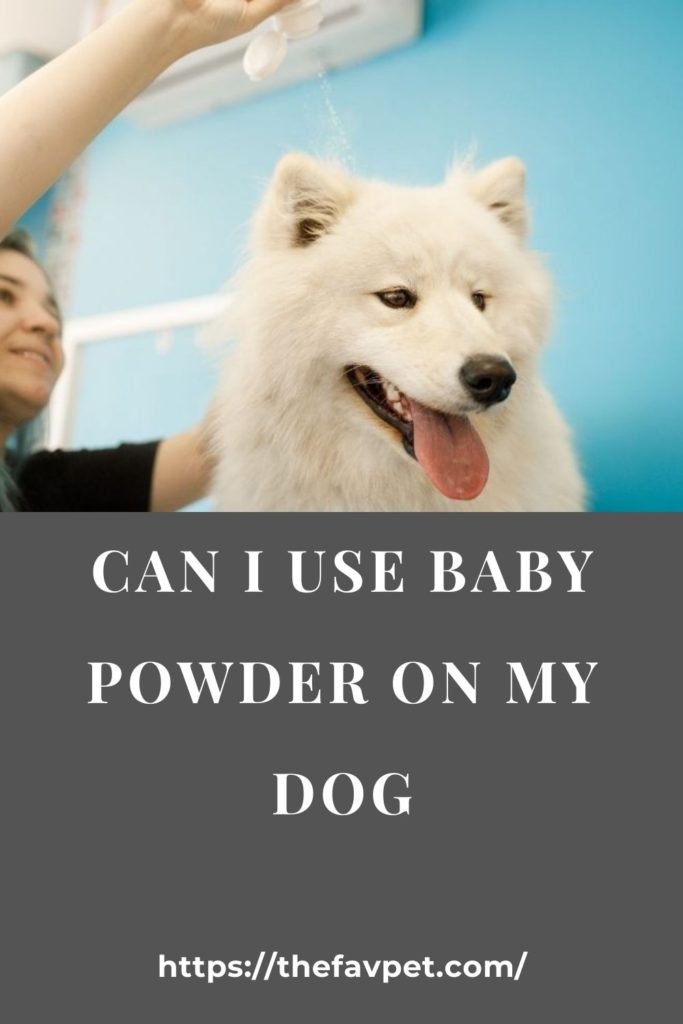Can I Use Baby Powder On My Dog