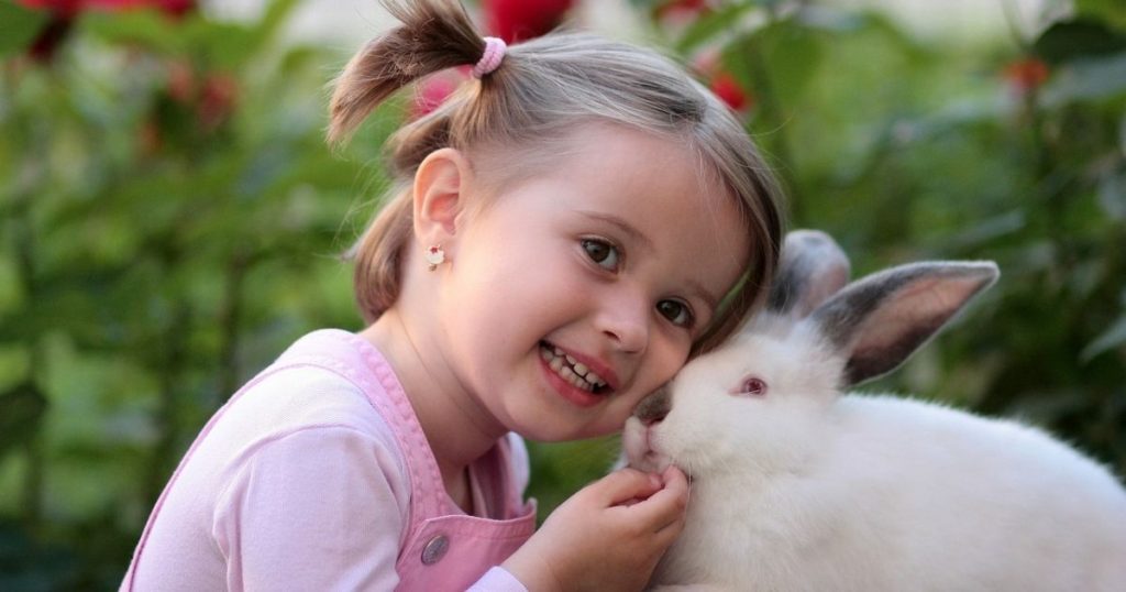 Why Do Rabbits Lick You? 3 Key Reasons Why Thefavpet