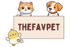 thefavpet